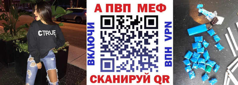 как найти   Гвардейск  Alfa_PVP СК КРИС 