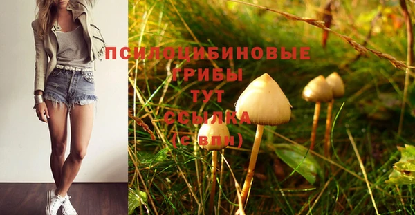 сатива Алексин