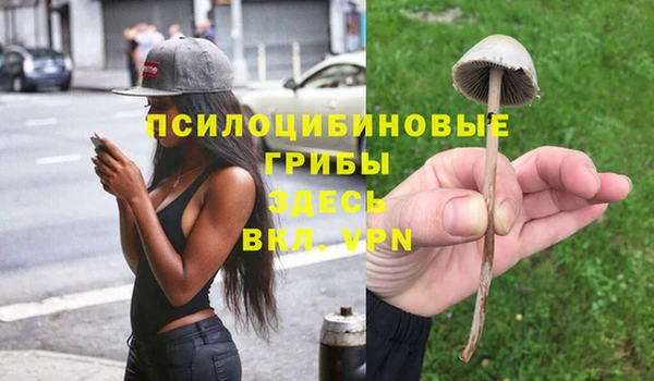 винт Алексеевка
